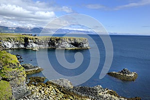 Volcanic sea cliffs nesting site