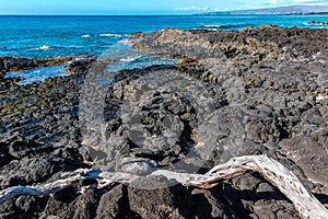 The Volcanic Shoreline of Keawanaku Beach