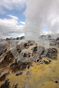 Volcanic slopes in Rotorua,New Zealand North Island