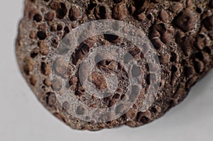 Volcanic stone, hardened porous lava. Close-up photo of stone