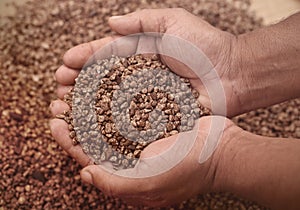 Volcanic stones for planted aquarium