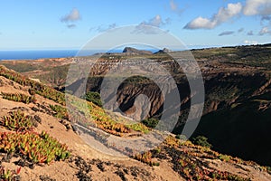 Volcanic terrain of tropical st helena island