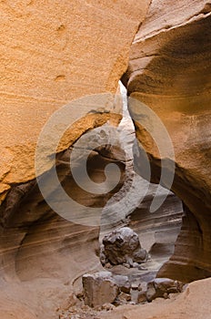 Volcanic tuff in Las Vacas Ravine.