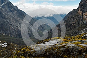 Volcanic Valley against a Mountain background, Rwenzori Mountains, Uganda