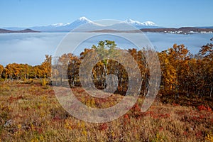 Volcano on the background of autumn foliage