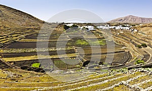 volcano crater farming lanzarote