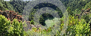 Volcano crater Trou aux Cerfs- panorama.Mauritius