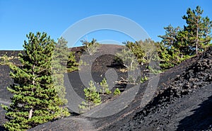 Volcano Etna, mount Sartorius, sicily, italy photo