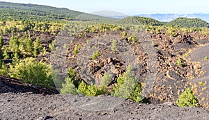 Volcano Etna, mount Sartorius, sicily, italy photo