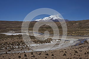 Volcano Guallatiri on the Altiplano of Chile photo