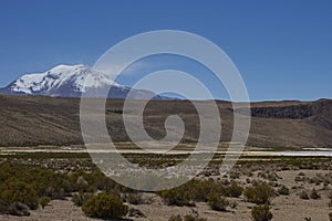 Volcano Guallatiri in Lauca National Park, Chile photo