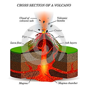 Volcano igneous eruption in the cross section. Education scientific scheme