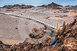 Volcano island St. Bartolome, Galapagos, Ecuador photo