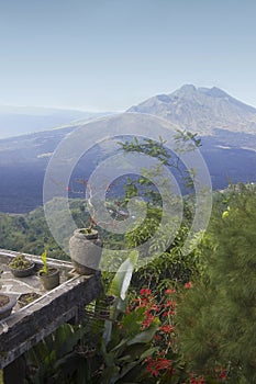 Volcano Kintamani, Bali photo