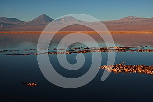 Volcano licancabur in a chilean lagoon photo