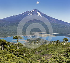 Volcano Llaima at Conguillio N.P. Chile
