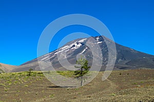 Volcano Lonquimay in Chile