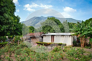 Volcano Maderas on the Ometepe Island in Nicaragua photo