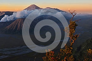 Volcano of Mount Gunung Bromo in Indonesia