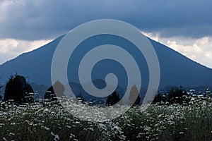 Volcano Mt Karisimbi in Volcanoes National Park Rwanda photo