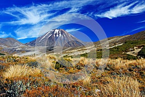 Volcano Ngauruhoe - Tongariro NP