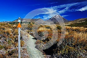 Volcano Ngauruhoe - Tongariro NP