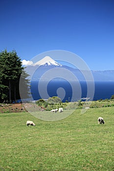 Volcano Osorno in Chile