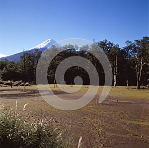 Volcano Osorno in National Park Vicente Perez Rosales, Chile