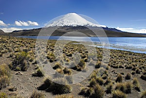 Volcano Parinacota and lake Chungara