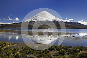 Volcano Parinacota and lake Chungara