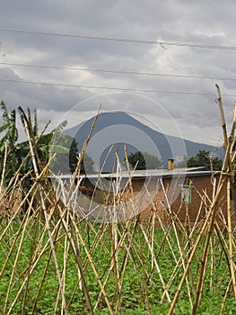 Volcano Rwanda Garden photo