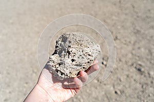 Volcano Stones in Hand, Volcanic Pumice with Glass, Pieces of Lava, Basalt Extrusive Igneous Rock photo