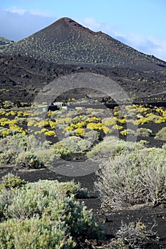 Volcano Teneguia