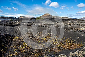 Volcanoe landscape in Lanzarote