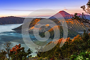 Volcanoes in Bromo Tengger Semeru National Park at sunrise. Java