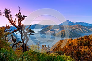 Volcanoes in Bromo Tengger Semeru National Park at sunrise. Java