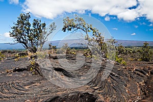 Volcanoes National Park Hawaii