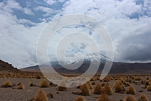 Volcanos in the Atacama Desert photo