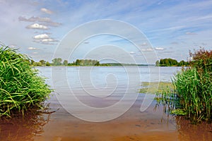 The Volga river near the city of Volgorechensk, Russia. The bank, overgrown with reeds, can be seen in the background of river