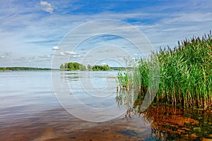 The Volga river near the city of Volgorechensk, Russia. The bank, overgrown with reeds, can be seen in the background of river