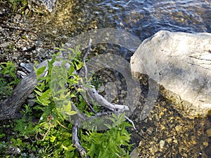 Volga river.  View of river stones on a sunny day with waves