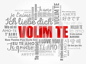 Volim te (I Love You in Croatian) word cloud