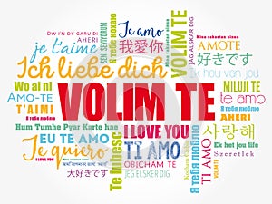 Volim te ( I Love You in Croatian) word cloud