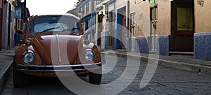 Volkswagen beetle photo