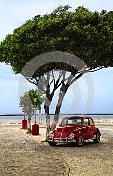 Volkswagen Beetle on the street of Porto Seguro, Brazil, South America