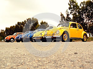 Volkswagen Beetles in a row