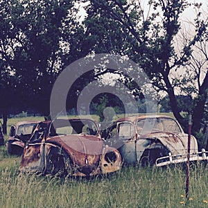 Volkswagon Bug junkyard in Oklahoma