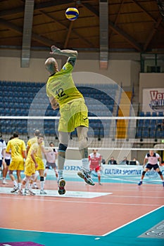 Volley