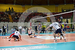 Volley