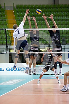 Volley